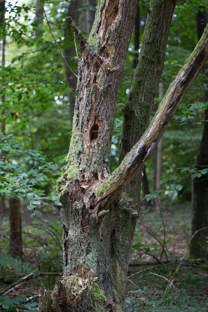 20231014100726 3K6A2143